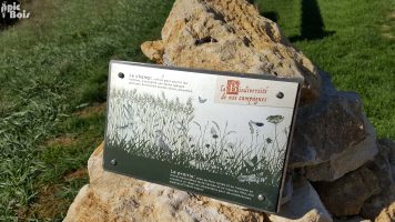 Signalétique touristique - Table de lecture - Biodiversité campagne - Fabrication PIC BOIS