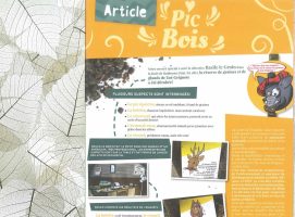 plum-article-pic-bois plum-article-pic-bois