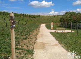 Vue d’ensemble du parc de l’Arboretum – Moissy-Cramayel (77) PIC BOIS - Avant/après vandalisme - Moissy-Cramayel (77)