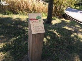 Signalétique touristique - Plaque thématique - Sophora du Japon clé-en-main - Fabrication PIC BOIS
