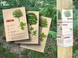 Signalétique touristique - Contenu clé-en-main arboretum - Fabrication PIC BOIS