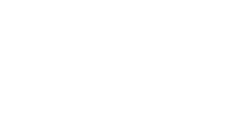 Logo PIC BOIS - Blanc