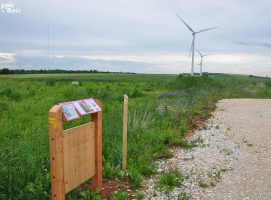 Saint Seine l'Abbaye
