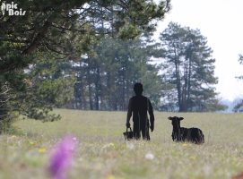 Bannière Sentiers de Nature silhouettes