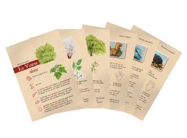 echantillons-cle-en-main-aboretum-faune-flore
