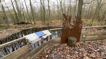 Parcours pédagogiques naturels – Mobilier interactif et silhouette de roseaux Signalétique touristique - Borne questions-réponses parcours pédagogique naturel - Fabricant PIC BOIS