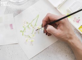 illustration-sophora-cle-en-main