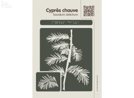 Conception graphique - arboretum avec Braille