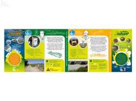 Conception graphique - Charte graphique