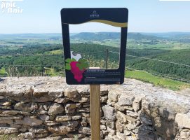 Signalétique touristique - Parcours sensoriel - Fenêtre sur vignoble - Fabrication PIC BOIS