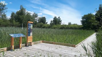 picbois – Parcours de découverte 55-Marais de Chaumont Signalétique touristique - Parcours de découverte et sentier pédagogique - Fabrication PIC BOIS